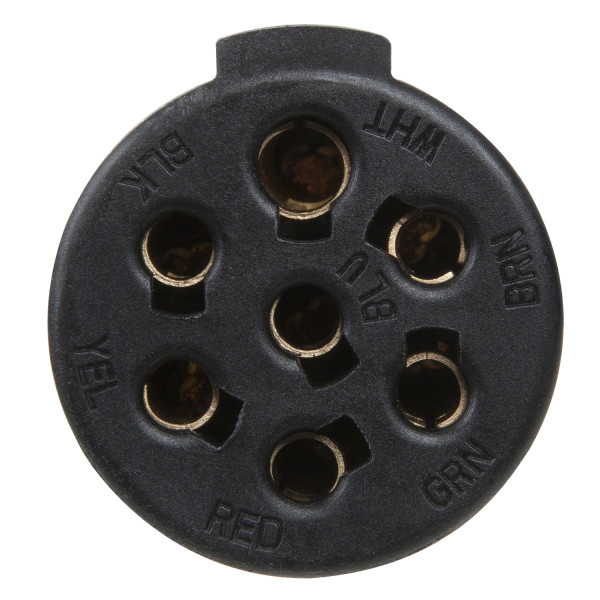 Plug Close-Up