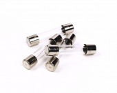 AGA Glass Fuses