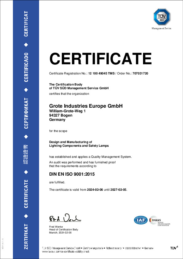 ISO 9001 (Englisch)