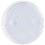 led whitelight 4
