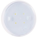 led whitelight 4